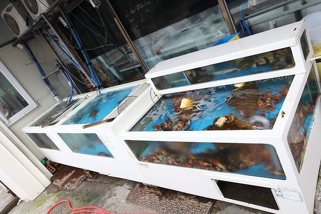 사진은 기사와 무관함. /사진=연합뉴스