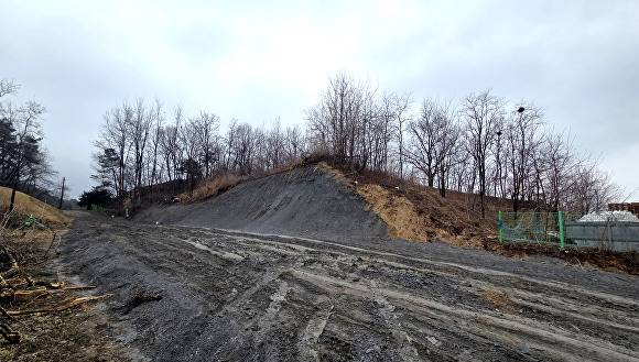 용인특례시 처인구 원삼면 맹리 659-19번지 일대 산이 절개된 후 회색 흙이 드러난 모습. [사진=정재수 기자]