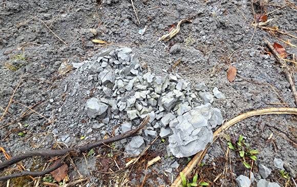 용인특례시 처인구 원삼면 맹리 659-19번지 일대 회색 흙의 덩어리 진 모습. [사진=정재수 기자]