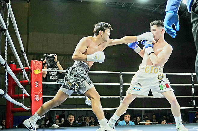 세계복싱협회 라이트급 아시아 챔피언 최시로가 2026년 4월 경기도 남양주체육문화센터 특설 링 타이틀 2차 방어전에서 도전자 조반니 카브레라 미올레티를 때리고 있다. 사진=한국복싱커미션 KBM