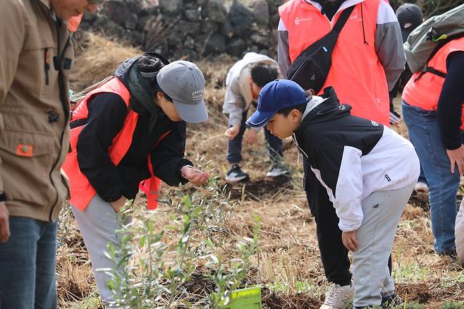 올리브 나무 식수 행사 [한국관광공사 제공. 재판매 및 DB금지]
