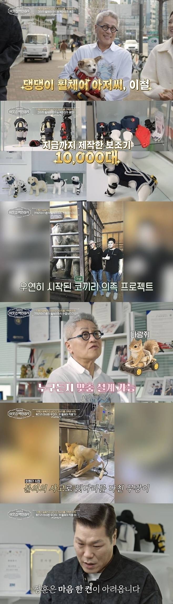 서장훈이 뒷다리 마비 유기견의 휠체어 착용에 눈물을 쏟는다. /사진제공=EBS