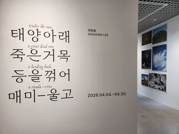 진주 PAC 갤러리에서 30일까지 이언경 개인전 <태양 아래 죽은 거목 등을 꺾어 매미-울고>가 열린다. /류민기 기자