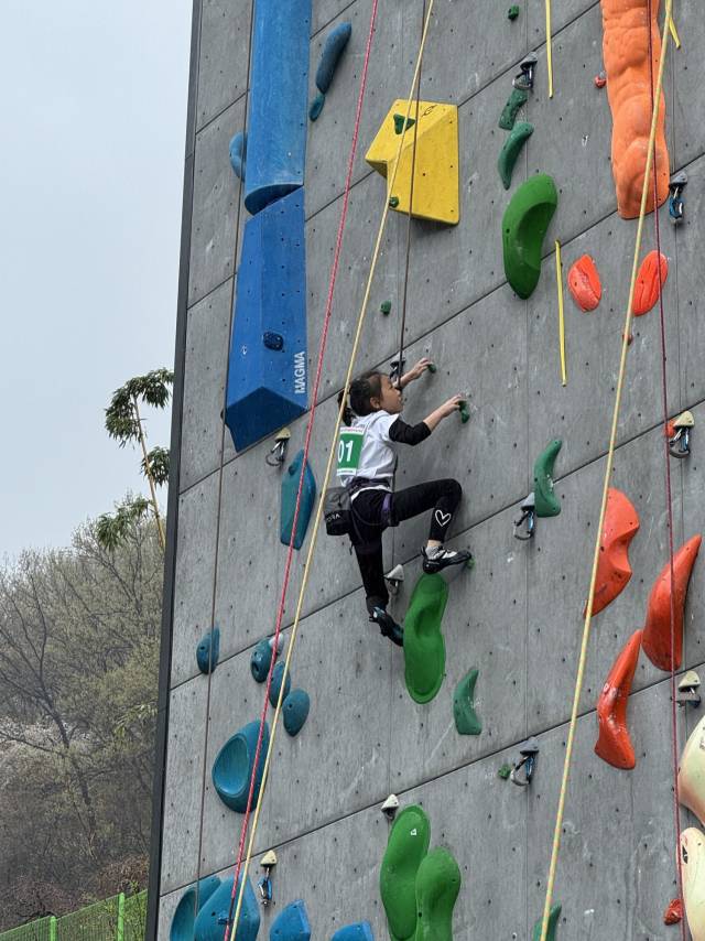 지난 4일 대구에서 열린 ‘제33회 회장배 전국 청소년 스포츠클라이밍대회’에서 참가자가 벽을 타고 있다./대한산악연맹/
