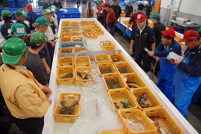 ‘사카나(생선) 기자’ 시절 이시노마키 수산시장을 취재하는 필자. /필자 제공