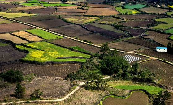 제주올레 1코스 말미오름에서 내려다본 올레길. 손민호 기자