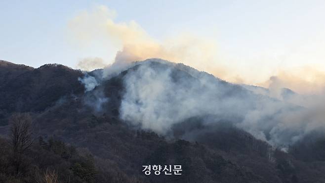 2월 경남 함양 산불. 경향신문 자료사진