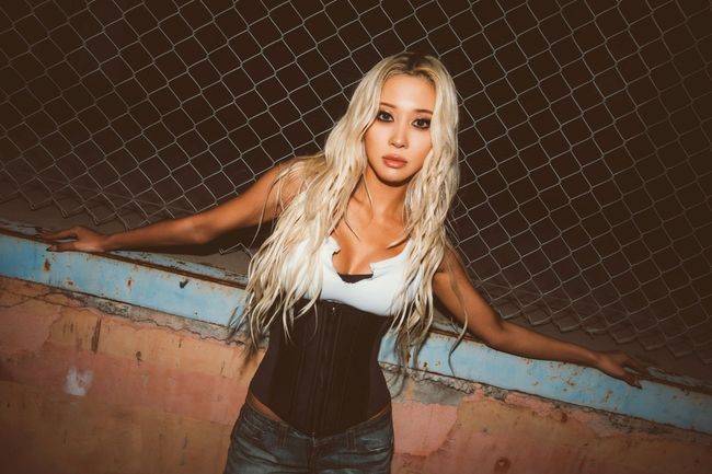 스타쉽엔터테인먼트 제공