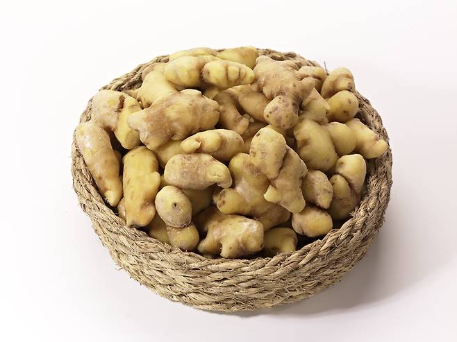 게티이미지뱅크