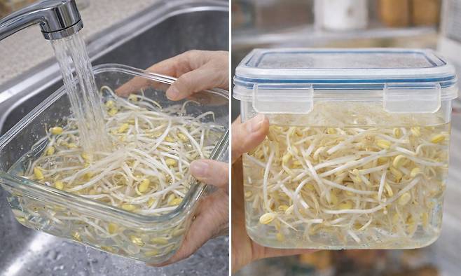 위 사진은 기사 이해를 돕기 위해 AI(인공지능)를 활용해 생성한 가상의 이미지입니다. Chat GPT 생성