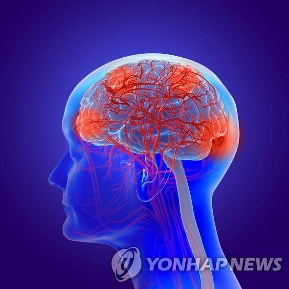 인간 뇌내 [게티이미지뱅크 제공]