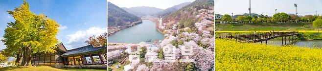 나주 로또 명당을 방문한 시민들의 소비 동선은 관광 코스로도 확장되고 있다. 사진 왼쪽부터 신책 코스로 손꼽히는 금성관의 가을 풍경과 벚꽃 명소 '한수제', 유채꽃이 만발한 영산강체육공원 전경. /나주시 제공