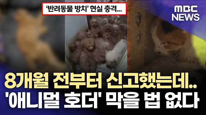 뉴스 관련 사진