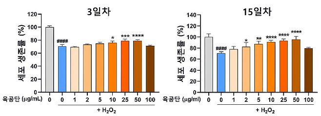 과산화수소 처리로 감소한 해마 신경세포 생존율이 과산화수소와 육공단으로 동시 처리한 결과, 육공단 투여 농도에 따라 생존율이 회복됐다.(자생한방병)