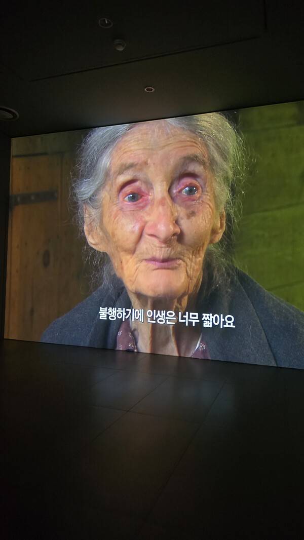사진= 김호이 기자