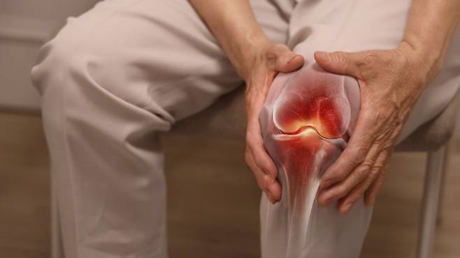 무릎 연골은 잘못된 생활습관이 누적돼 마모될 수 있다｜출처: 클립아트코리아