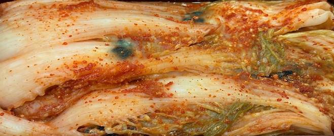 임상통합의학 암학회 회장이나 일반외과 전문의 문창식 원장이 냉장고 속 김치 섭취 시 주의할 점을 강조했다./사진=AI 생성 이미지