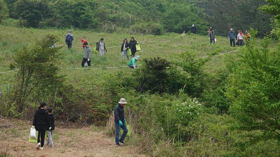 지난 2023년 한라산 청정 고사리 축제. 뉴시스