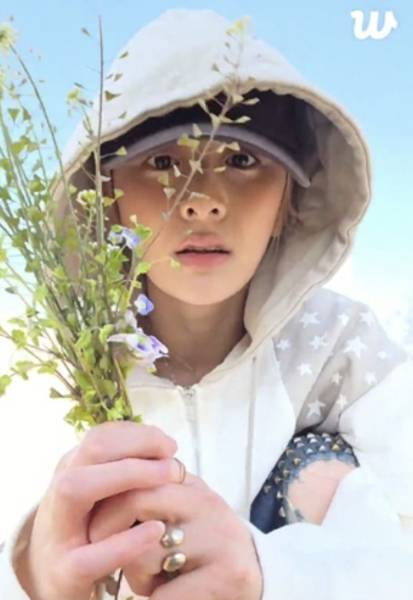 그룹 르세라핌 허윤진이 라이브 방송 중 한강 공원의 꽃을 꺾는 행동으로 논란이 불거지자 사과했다./사진=위버스 화면 갈무리