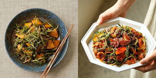 돌나물 사과 무침(왼쪽), 돌나물 골뱅이무침 [우리의 식탁 제공]