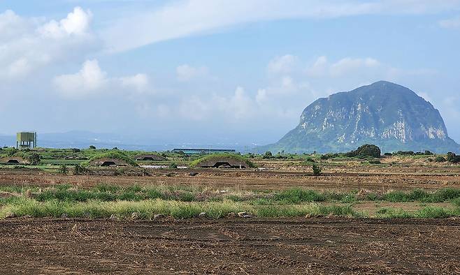 언뜻 보면 평화로워 보이는 알뜨르비행장의 풍경 속에는 생사의 절박함과 제주 도민의 고단함이 묻어있는 20개의 콘크리트 격납고가 숨어있다. 역사의 비극을 품고 있는 제주의 풍경은 우리에게 자신의 내면을 되돌아보는 시간을 선사한다.