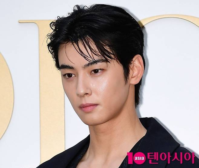 가수 겸 배우 차은우가 세무조사로 부과된 세금을 모두 납부했다고 전했다./사진=텐아시아DB