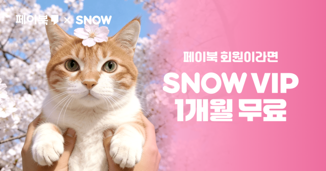[사진=BC카드]