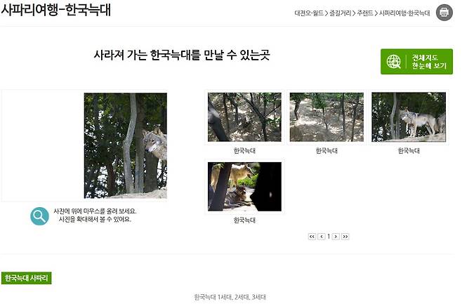 대전 오월드는 홈페이지를 통해 주랜드 사파리에서 사라져가는 한국늑대를 국내에서 유일하게 관람할 수 있다고 홍보하고 있다(오월드 홈페이지). ⓒ 뉴스1