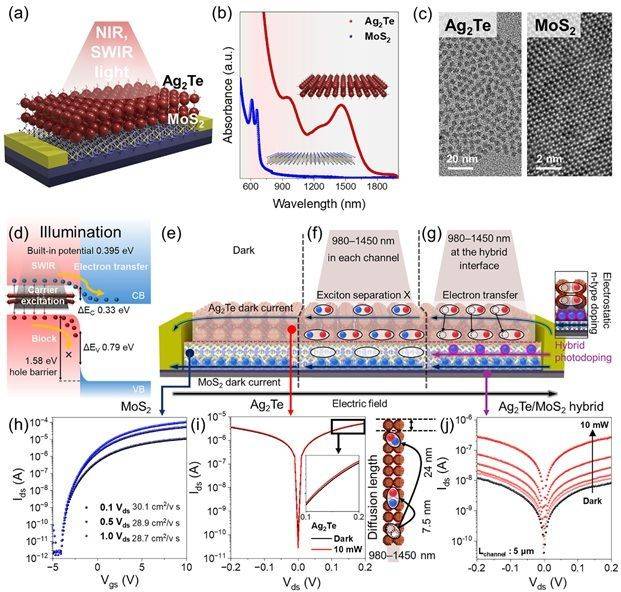 0D-2D하이브리드 소자의 개념도, 광학적 특성, 밴드갭 정렬을 설명하는 그림. (a~c) 하이브리드 소자의 개념도, 광학적특성, TEM 이미지 (d~j) 하이브리드 광센서 작동원리 및 하이브리드 인터 페이스 효과. 연구진 제공
