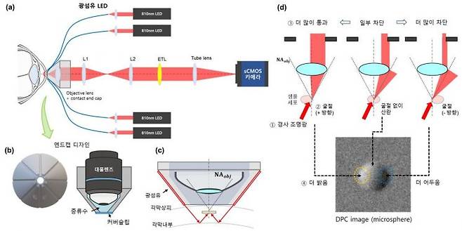 각막 신경 및 면역세포 영상화를 위한 차등 위상 대비(DPC) 기반 광학 영상 시스템 개략도. 연구팀 제공