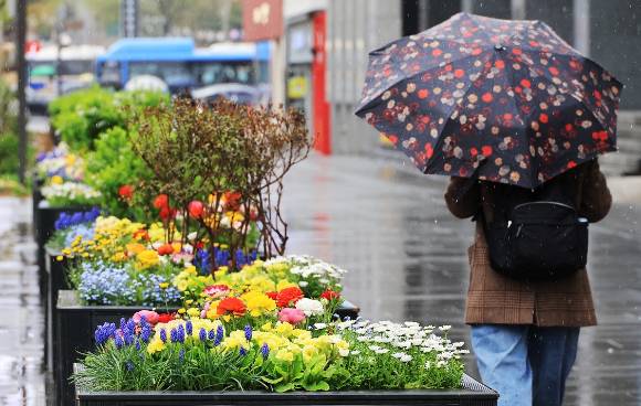 비 내리는 서울 광화문 광장에서 시민들이 우산을 들고 꽃 옆을 지나고 있다. [사진=연합뉴스]