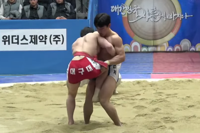 ▲ 영월군청 씨름단 이현서(오른쪽)가 8일 충북 제천체육관에서 열린 제80회 전국씨름선수권대회 선수권부 경장급 결승에서 대구대 김대경과 힘을 겨루고 있다. 유튜브 샅바티비 캡쳐