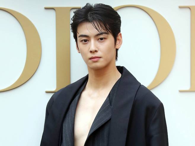 차은우 군악대 재보직을 검토해 달라는 민원이 재차 접수됐다. /사진=스타뉴스