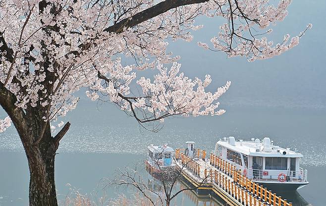 장계관광지 선착장에 정박 중인 대청호 여객선 ‘정지용호’.
