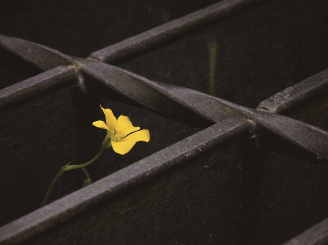 참사는 나쁜 습관처럼 반복돼 왔다. [사진 | 오상민 사진작가]