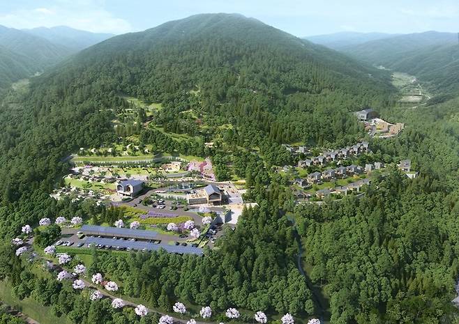 광주시, 2035년까지 산림 복지 종합계획 수립. 사진=광주시