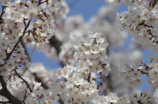 누군가에겐 '위태로운 봄'일지도 모르지만..함께한다면 이겨낼 수 있을지도!