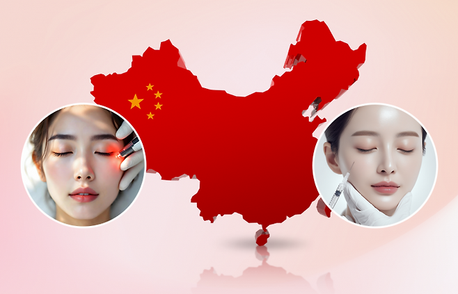 그래픽=박혜수 기자