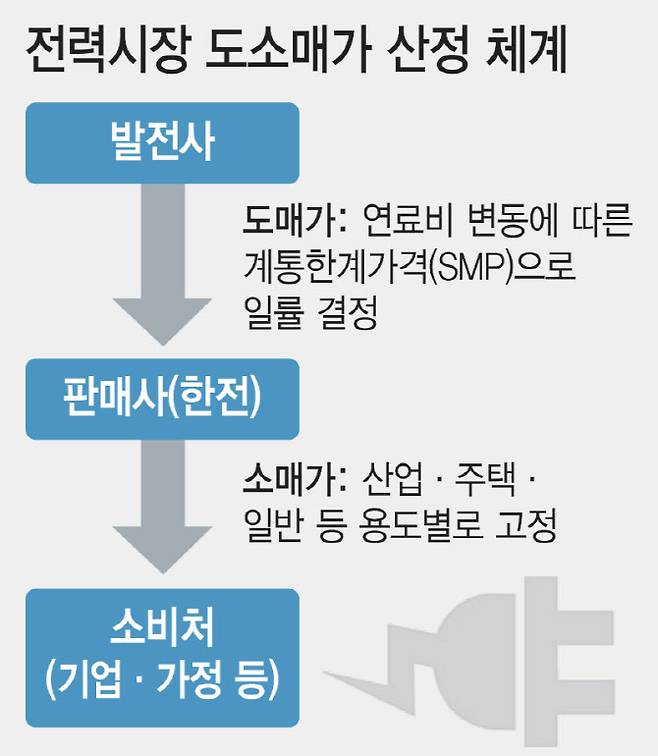 (그래픽= 이미나 기자)
