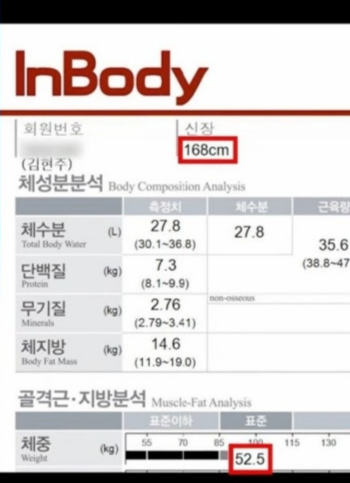 사진|유튜브캡처