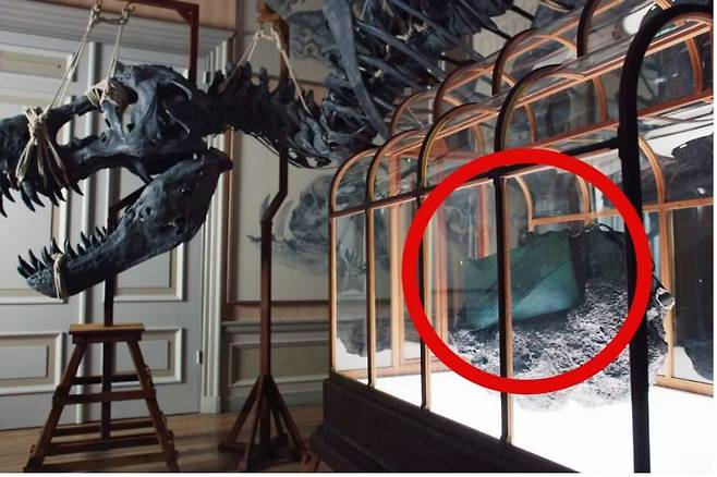 티라노사우르스 가죽으로 만든 핸드백은 현재 아트주 박물관에서 실물 크기 티라노사우루스 조형물과 함께 전시 중이며, 오는 5월 11일 전시 종료 후 경매에 부쳐질 예정이다. VML