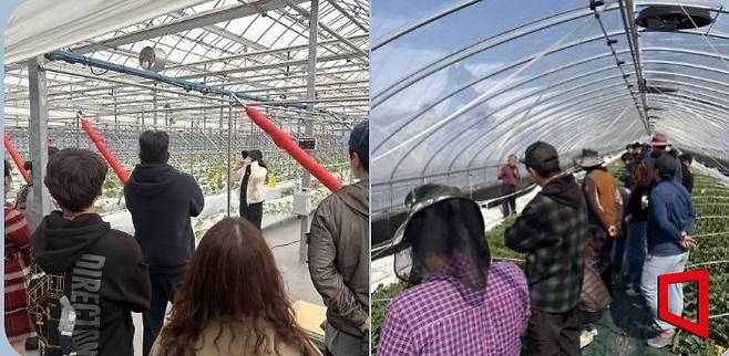 '제15기 참별미소농업인대학 참외과정'을 참외 생육 작기에 맞춘 현장 교육 중/김이환 기자