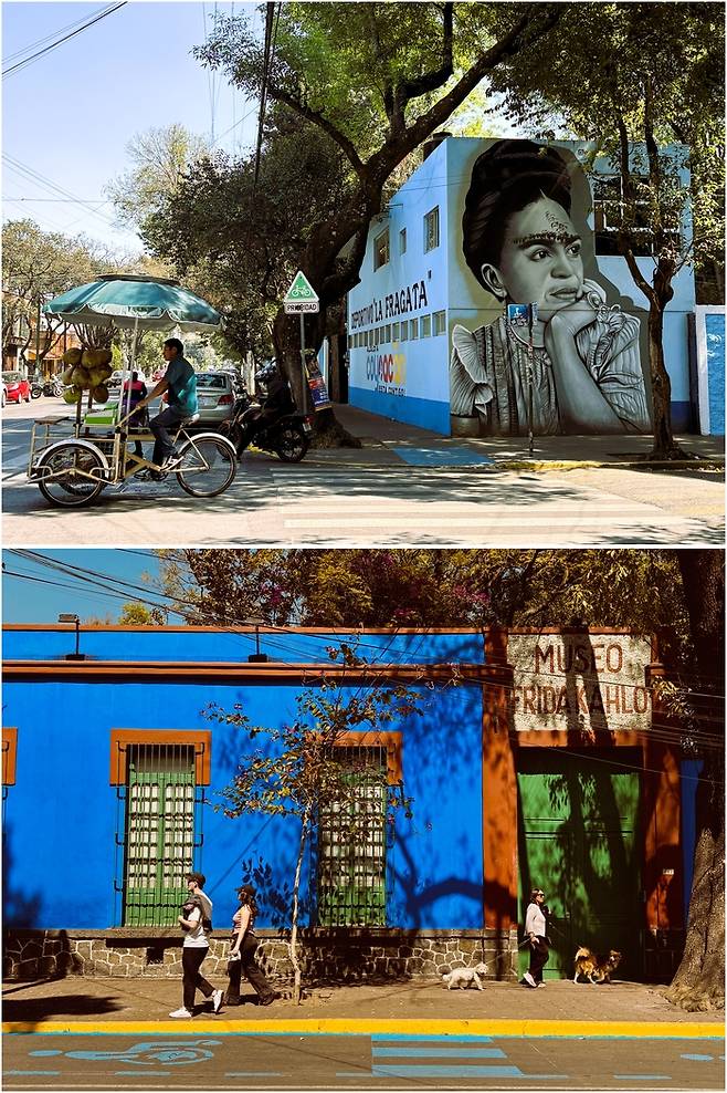 (위)코요아칸 지구 곳곳에 프리다 칼로의 얼굴이 장식되어 있다. (아래)프리다 칼로의 생가