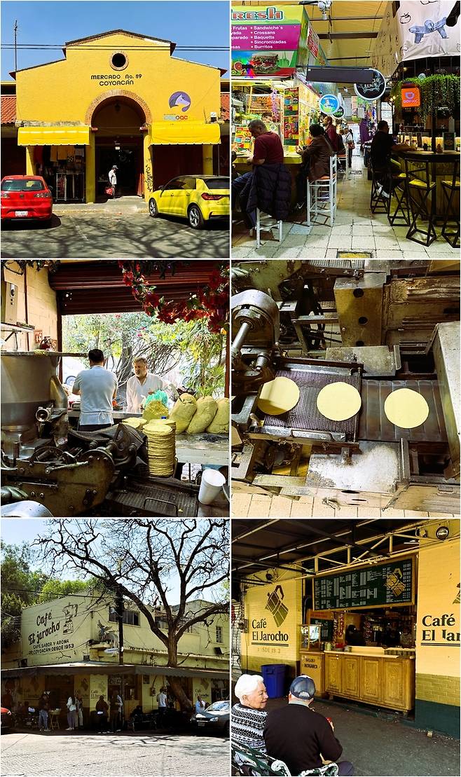 (맨위)코요아칸 시장 (가운데)코요아칸 시장의 명물로 통하는 토르티야 가게 (하단)코요아칸 주민들이 일순위로 꼽는 카페로 1953년부터 도넛과 커피를 판매하고 있다.