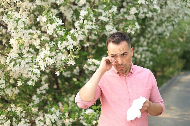 봄철 알레르기 결막염. 서울대병원 제공