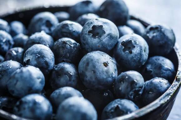 사진은 블루베리. [사진=MAYO CLINIC]