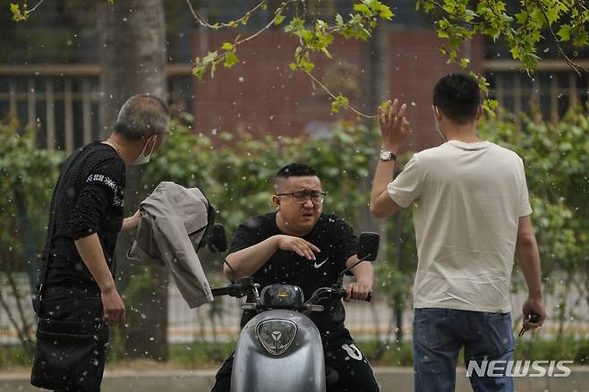 [베이징=AP/뉴시스] 지난 2023년 4월 10일 중국 베이징 주민들이 날리는 꽃가루가 날리는 거리에서 얘기를 나누고 있다. 매년 봄 포플러와 버드나무 꽃가루가 베이징을 뒤덮어 알레르기를 유발하고 가시거리 감소로 인해 교통에 지장을 주기도 한다. 2023.04.10.