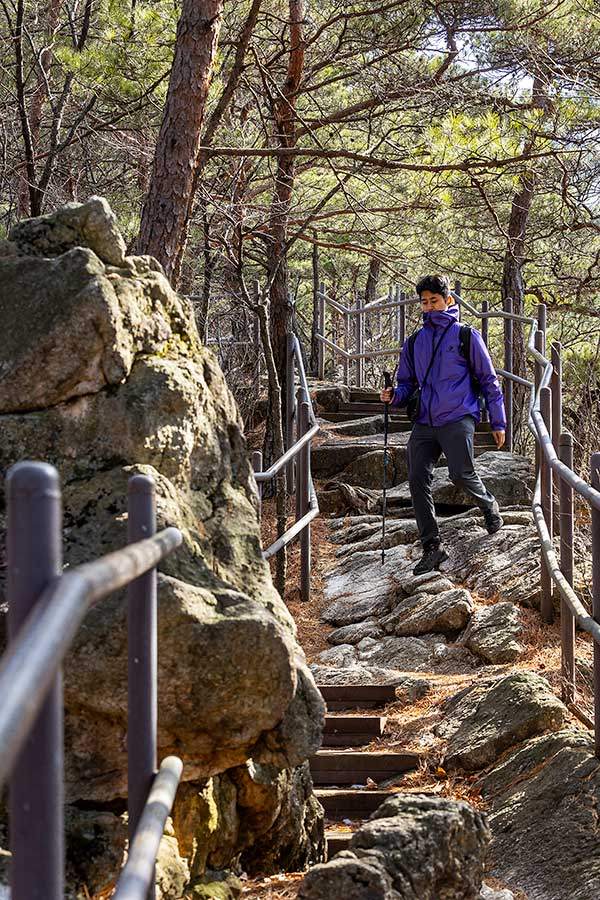 급경사의 사다리병창길을 지나면 소나무 사이로 돌길이 나 있다.