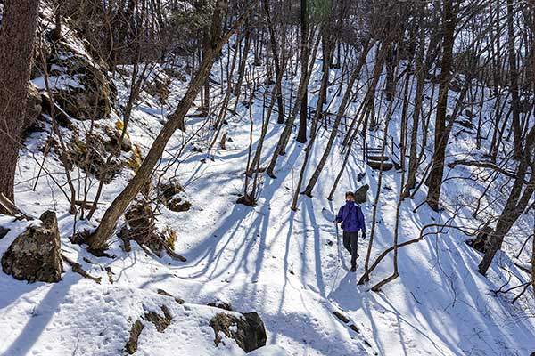 사다리병창길은 3월 중순에도 겨울이 한창이다.