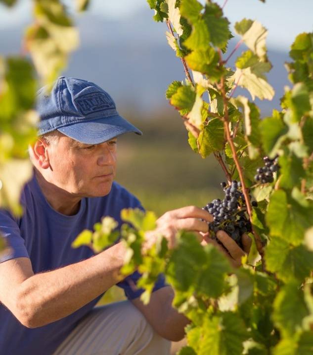 폴 부티노. 인스타그램